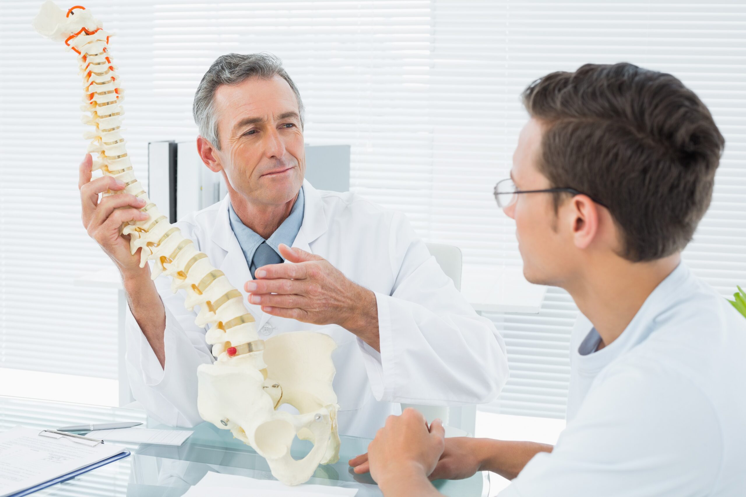 Chiropractic Spine Care